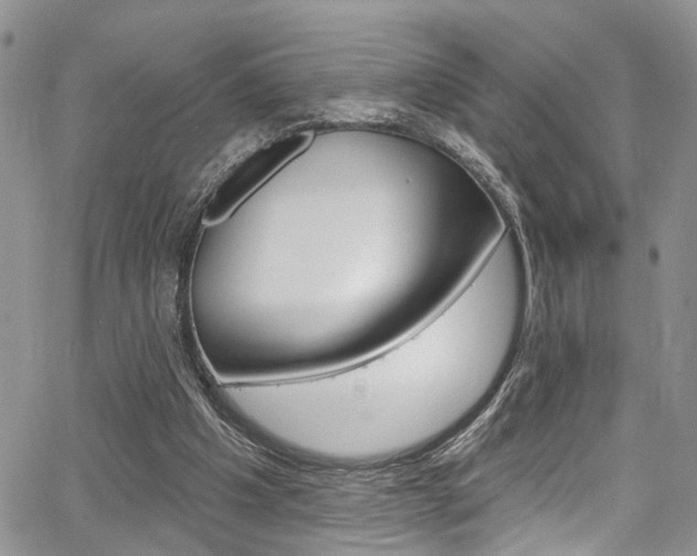 X0000065260201200602171004