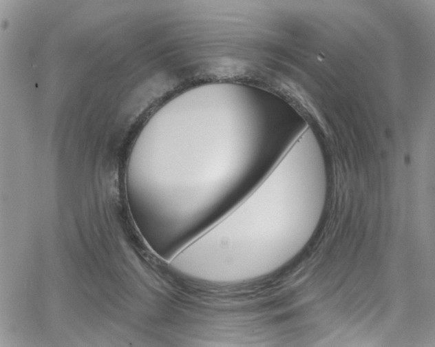 X0000065260212200602171004