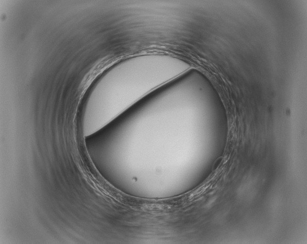 X0000065260242200602171002