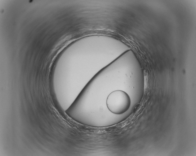 X0000065260243200602171002