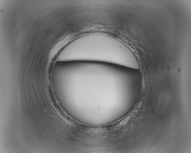 X0000065260245200602171002