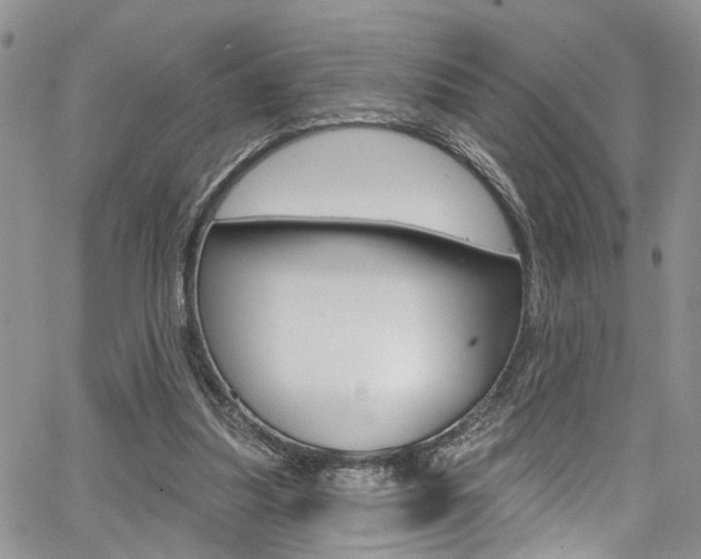 X0000065260251200602171002