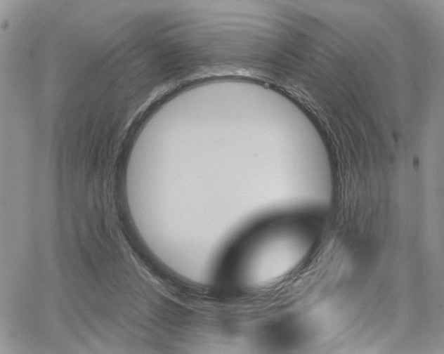 X0000065260256200602171003