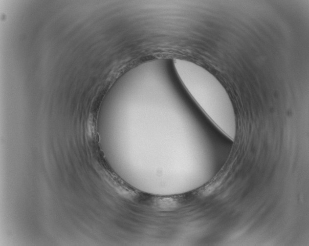X0000065260287200602171003