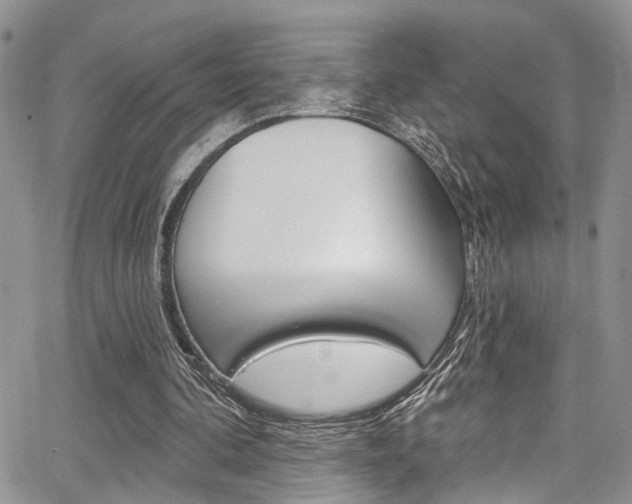 X0000065260292200602171002