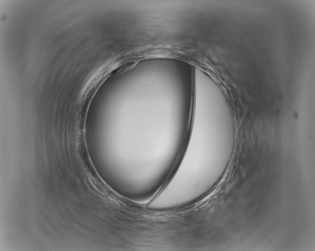 X0000065260293200602171002