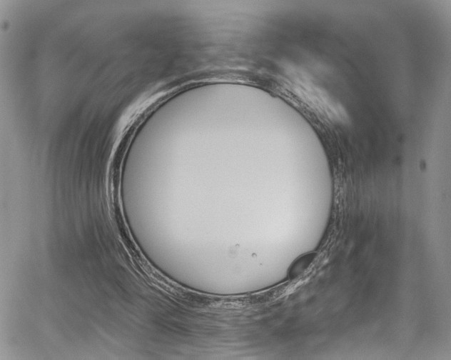 X0000065260294200602171002