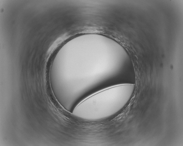 X0000065260296200602171002