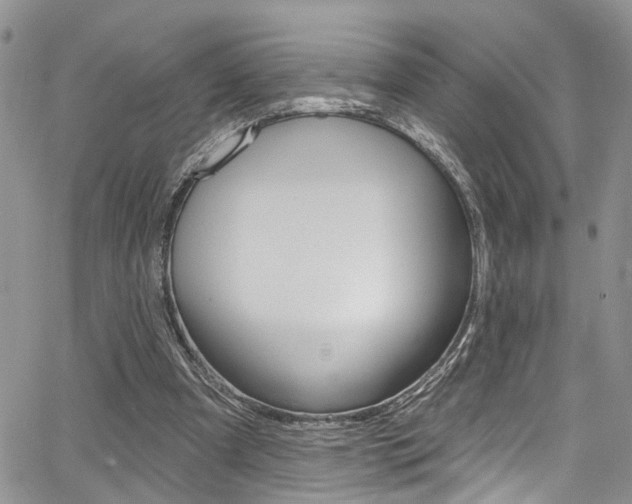 X0000065260297200602171002