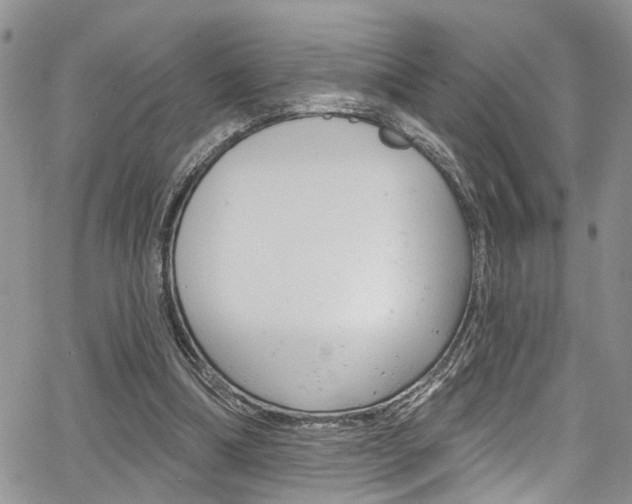 X0000065260298200602171002