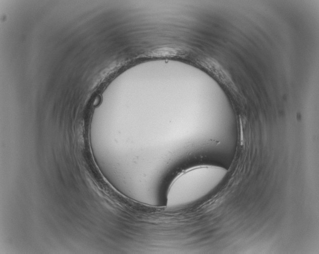 X0000065260300200602171002