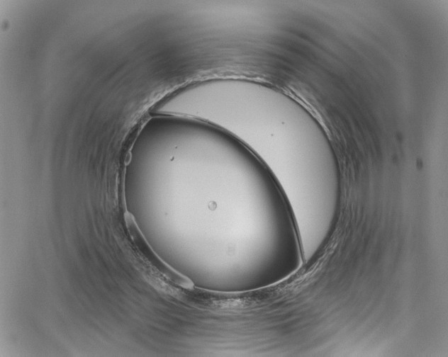 X0000065260301200602171002