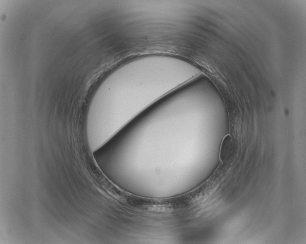 X0000065260303200602171002