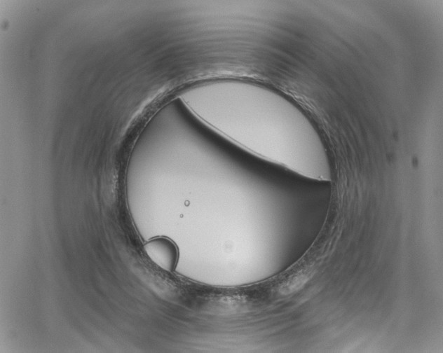 X0000065260304200602171002