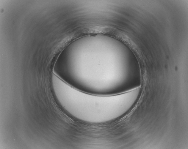 X0000065260305200602171002