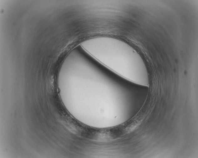 X0000065260308200602171002