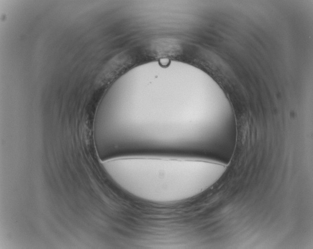 X0000065260316200602171002