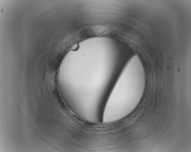 X0000065260319200602171002