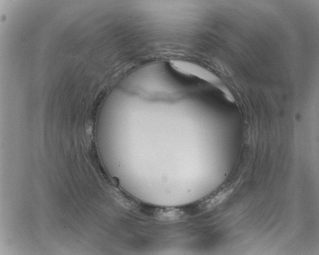 X0000065260321200602171002