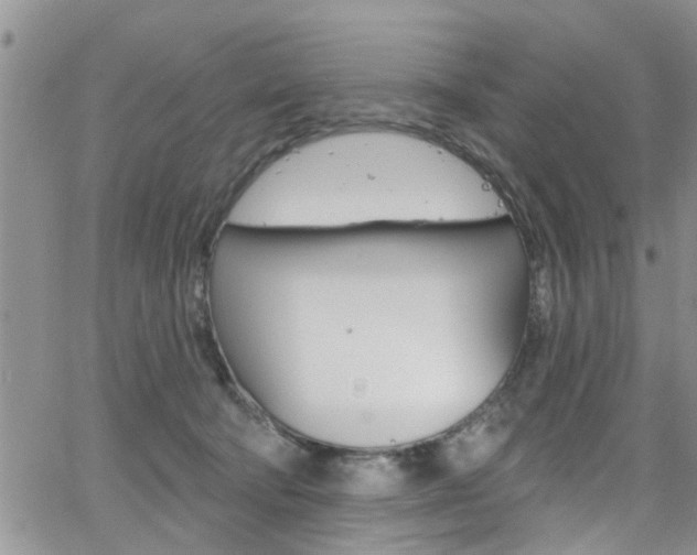 X0000065260322200602171002