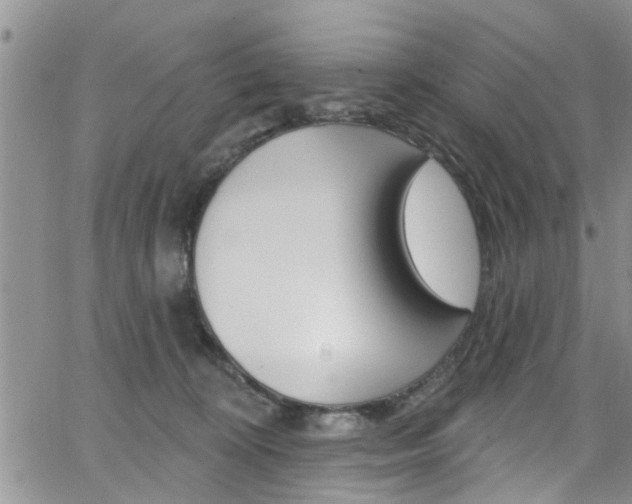 X0000065260324200602171002