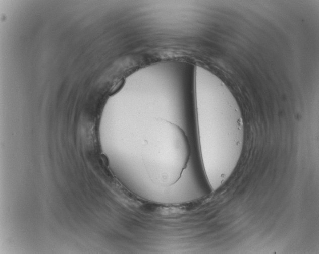 X0000065260327200602171002