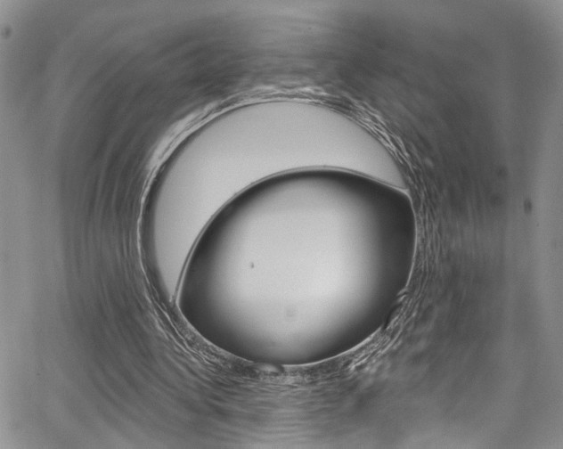 X0000065260340200602171001