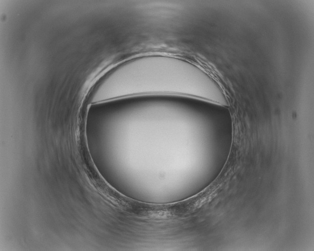 X0000065260344200602171001