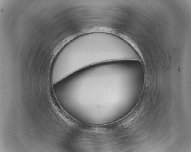 X0000065260437200602170959