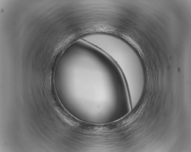X0000065260493200602170959