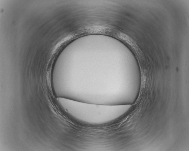 X0000065260583200602170957