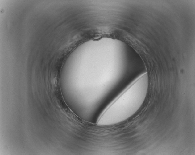 X0000065260608200602170957