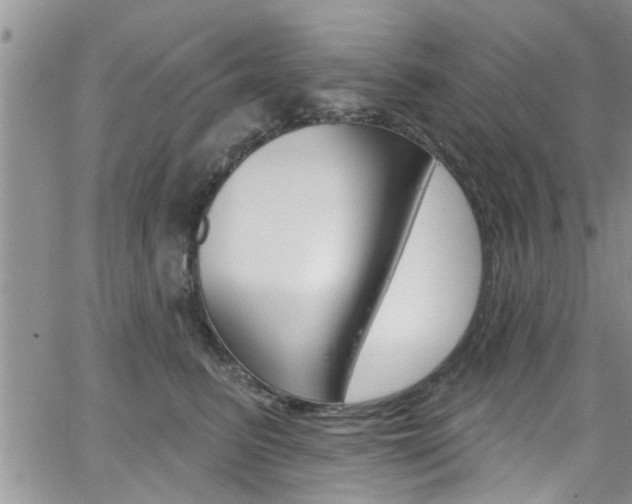 X0000065260615200602170957