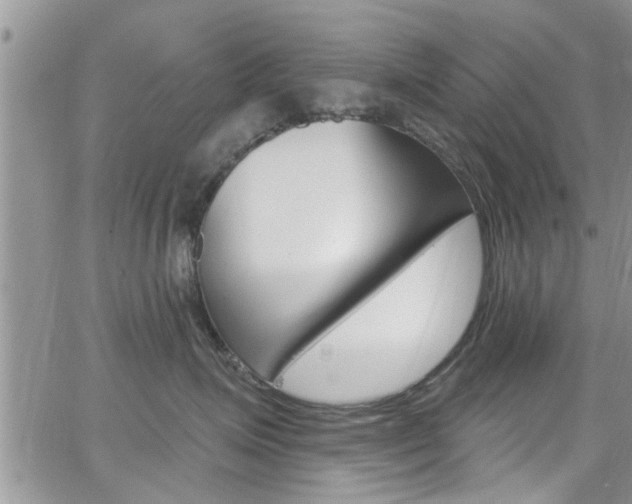 X0000065260623200602170957