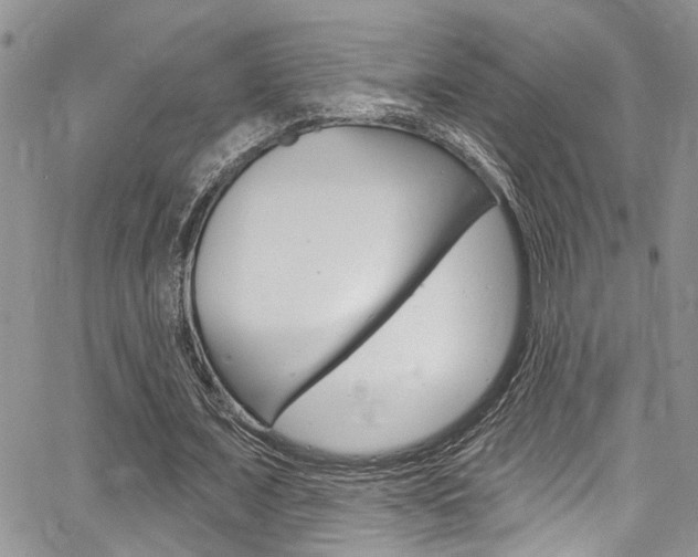 X0000065260675200602170956