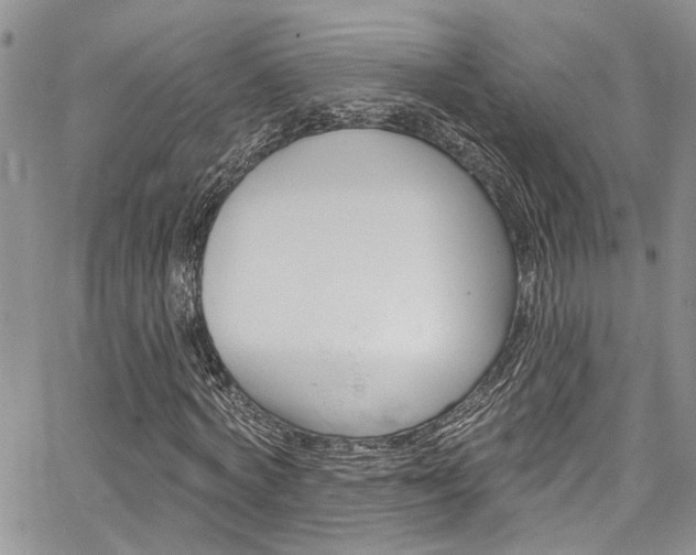 X0000065260772200602170954