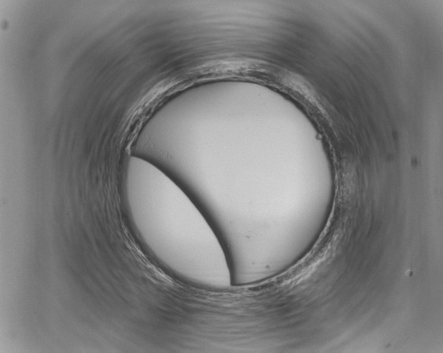 X0000065260778200602170954