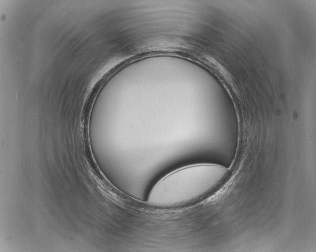 X0000065260779200602170954