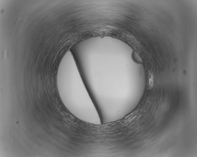 X0000065260819200602170953