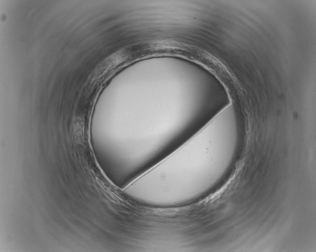 X0000065260825200602170953