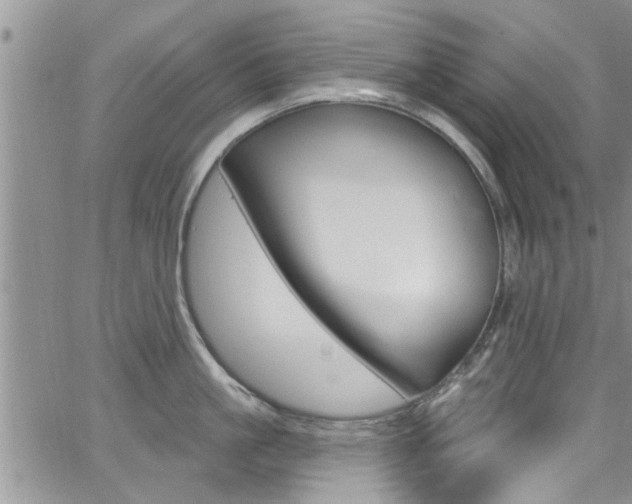 X0000065260861200602170954