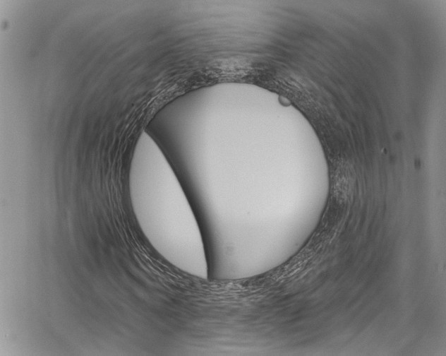 X0000065260866200602170953