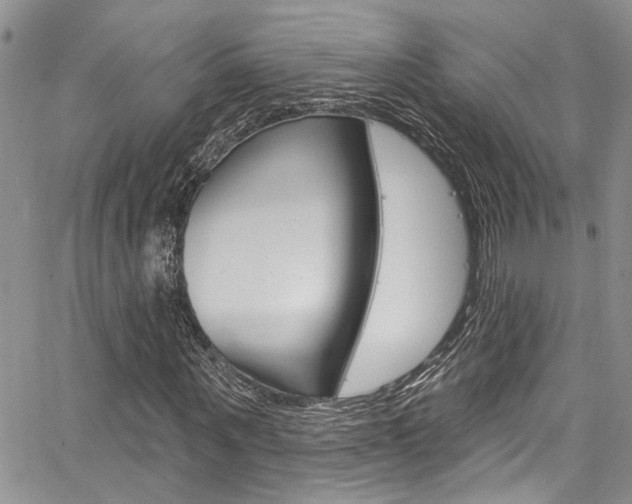 X0000065260867200602170953