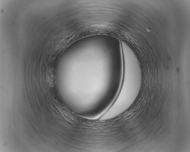 X0000065260868200602170953