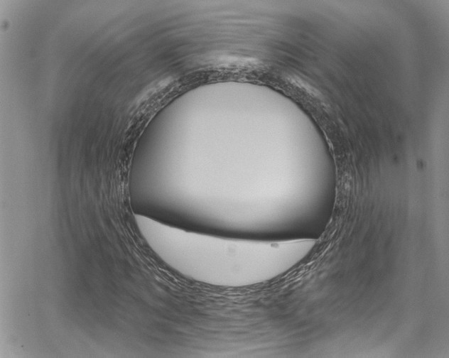 X0000065260869200602170953