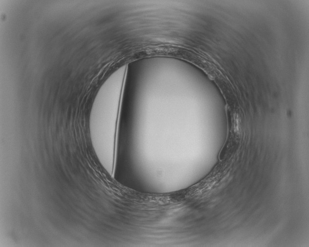 X0000065260915200602170951