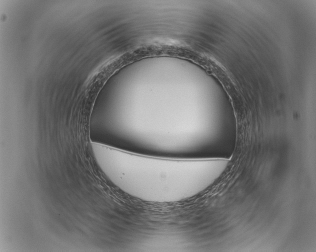 X0000065260919200602170951