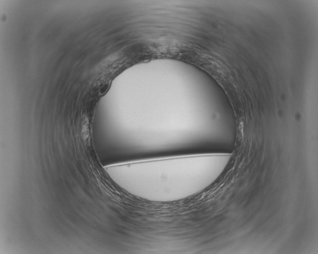 X0000065260963200602170951
