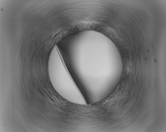 X0000065260964200602170951