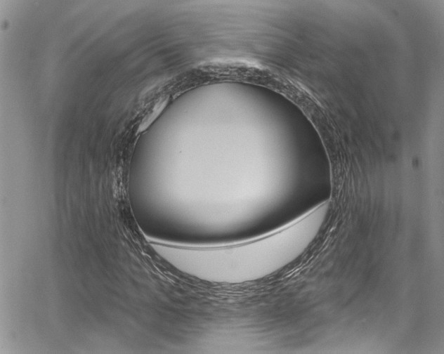 X0000065260965200602170951